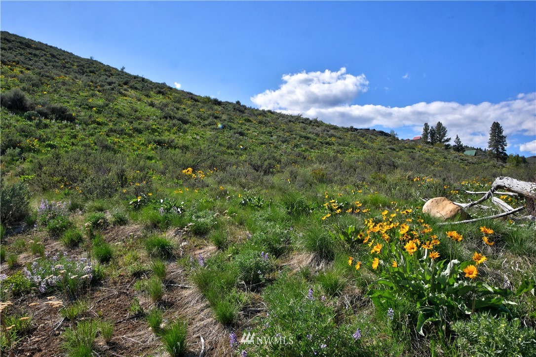 1 Williams Road Winthrop, WA 98862 - Photo 1 of 1 Gallery Image 1