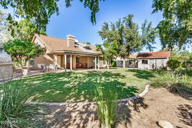 a view of a garden with a tree
