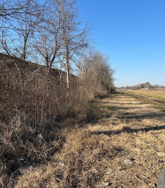 a view of ocean view with large trees