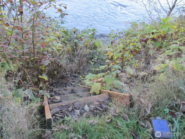 a view of a yard with plants and trees