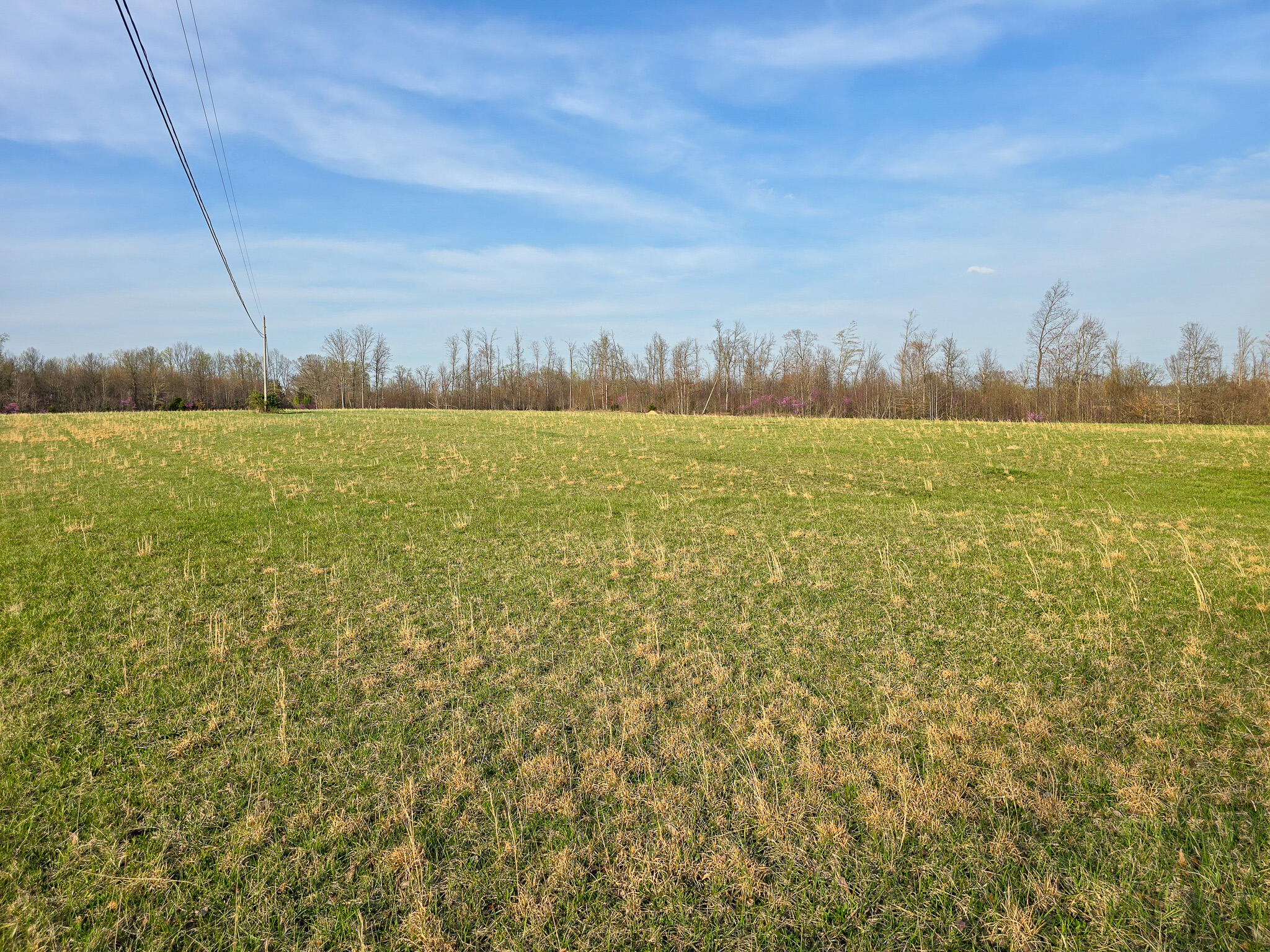 0 Walter Huff Road Liberty, KY 42539 - Photo 8 of 14 20250402_182722