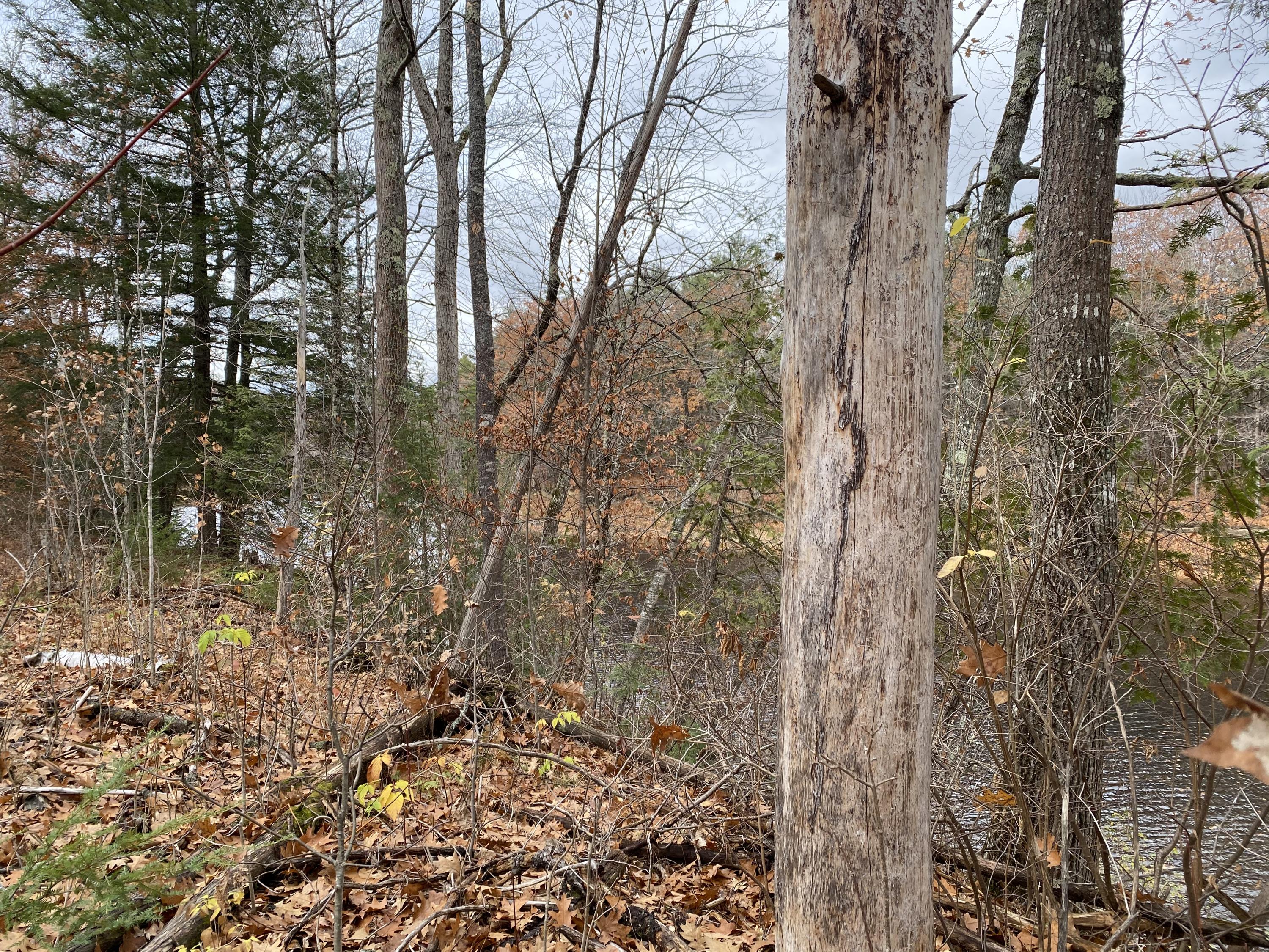 0 Town Farm Road Anson, ME 04911 - Photo 32 of 32 15 water