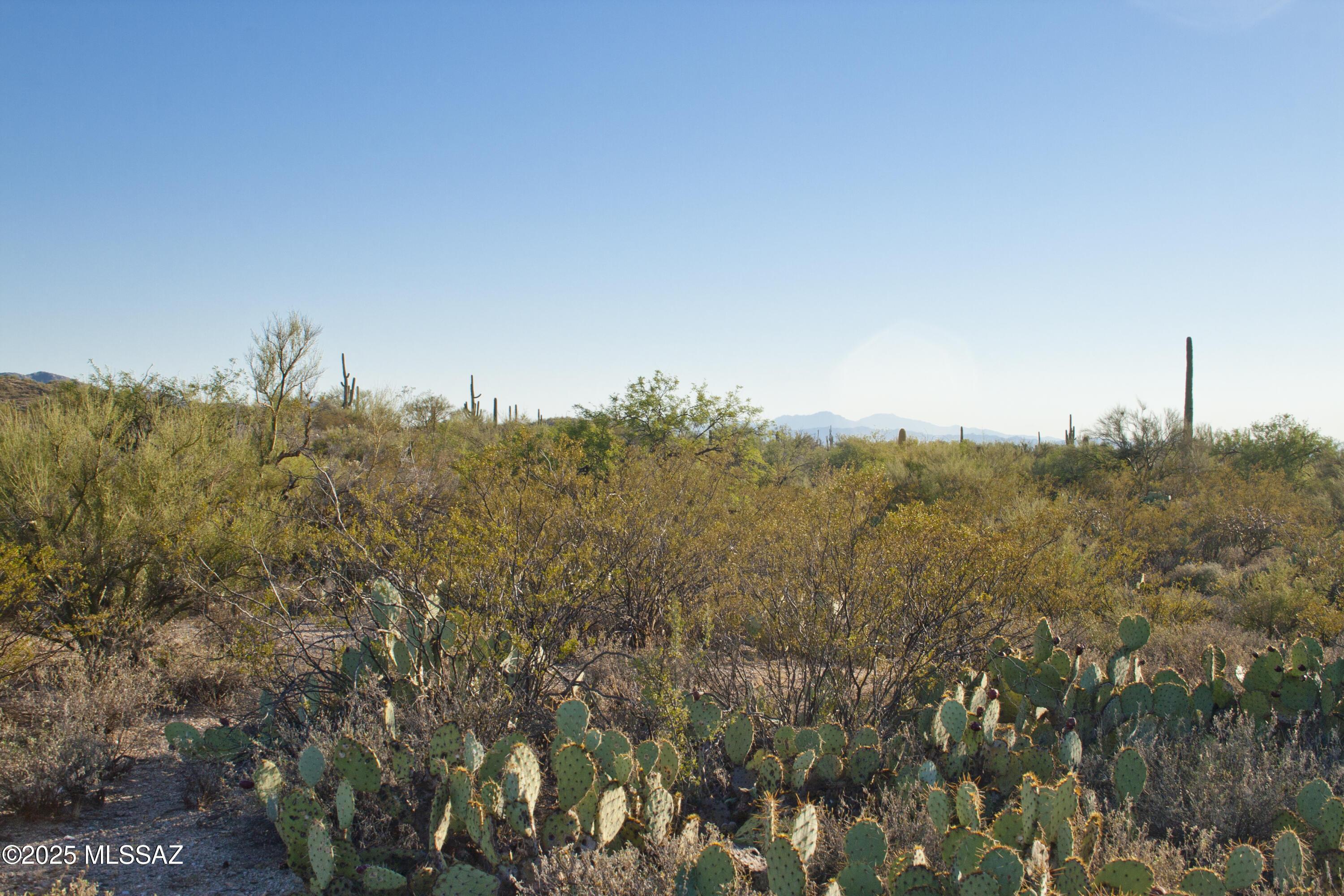 0 Silverian Road Marana, AZ 85658 - Photo 24 of 32