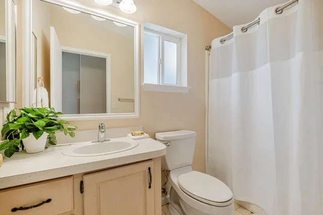 a bathroom with a sink a mirror a toilet and a shower