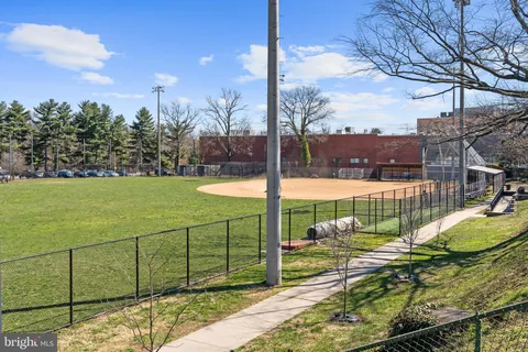 a view of a park with large trees