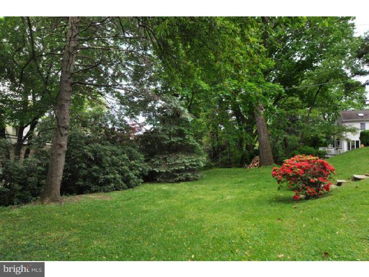 749 Arden Road Jenkintown, PA 19046 - Photo 24 of 25 Back Yard