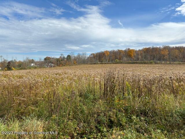 Stone And Reynolds Road Dalton, PA 18414 - Photo 3 of 10 a view of lake and mountain