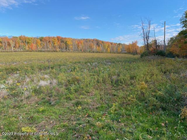 Stone And Reynolds Road Dalton, PA 18414 - Photo 8 of 10 a view of a field with an ocean in background