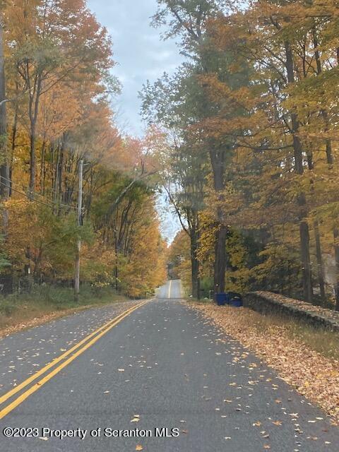 Stone And Reynolds Road Dalton, PA 18414 - Photo 9 of 10 a view of a yard with an trees