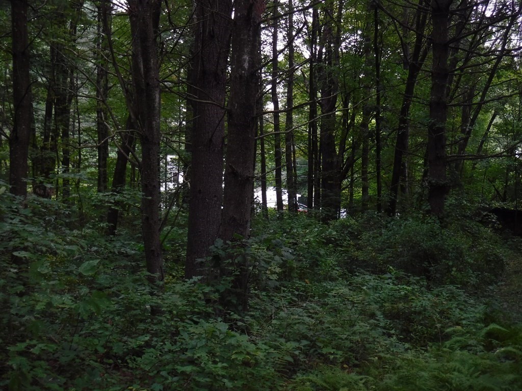 Lot 1 Amherst Road Belchertown, MA 01007 - Photo 3 of 3 Gallery Image 3