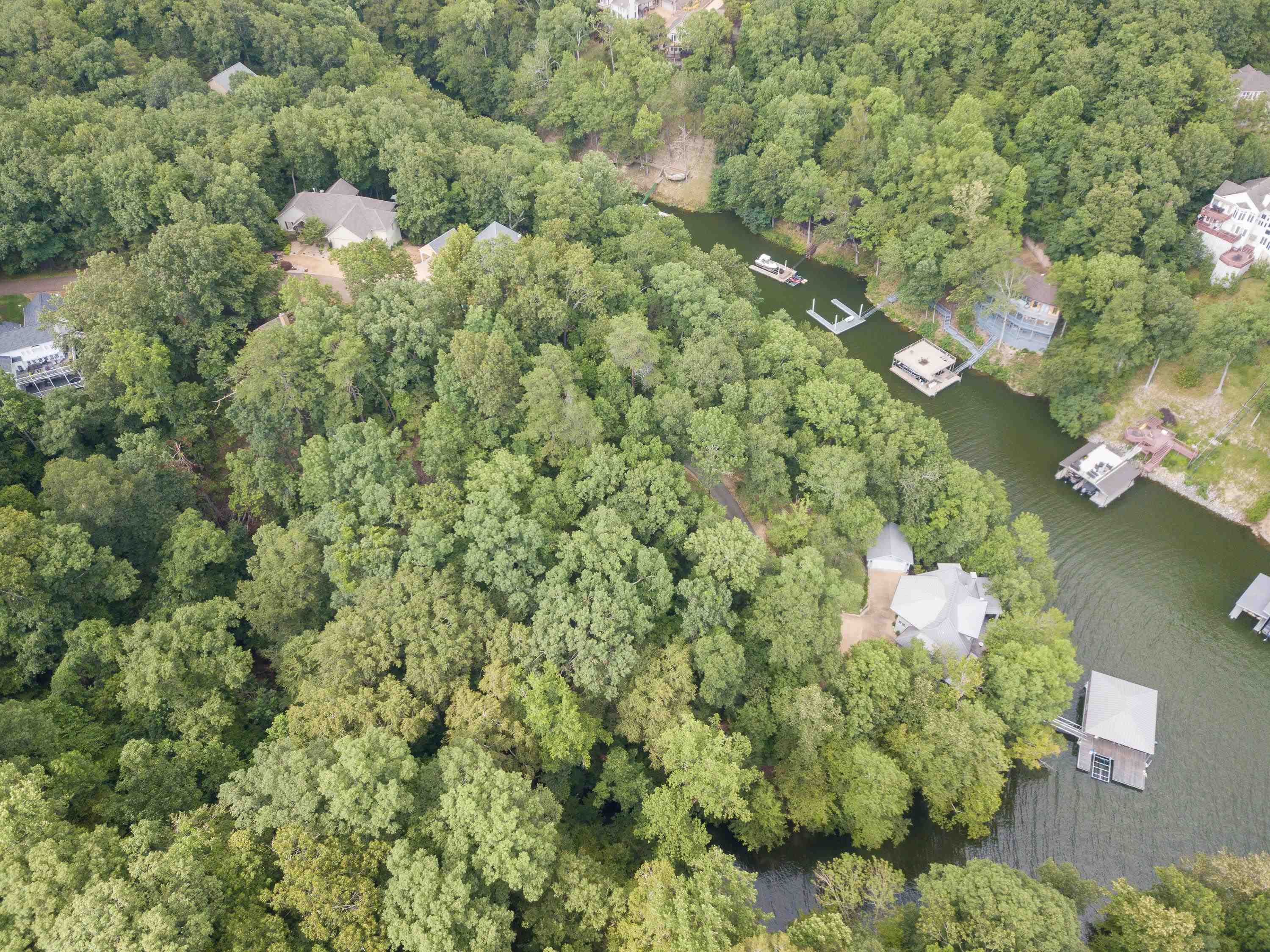 Lake Bluff Path Avenue Savannah, TN 38372 - Photo 11 of 33 a close up of a tree in a garden