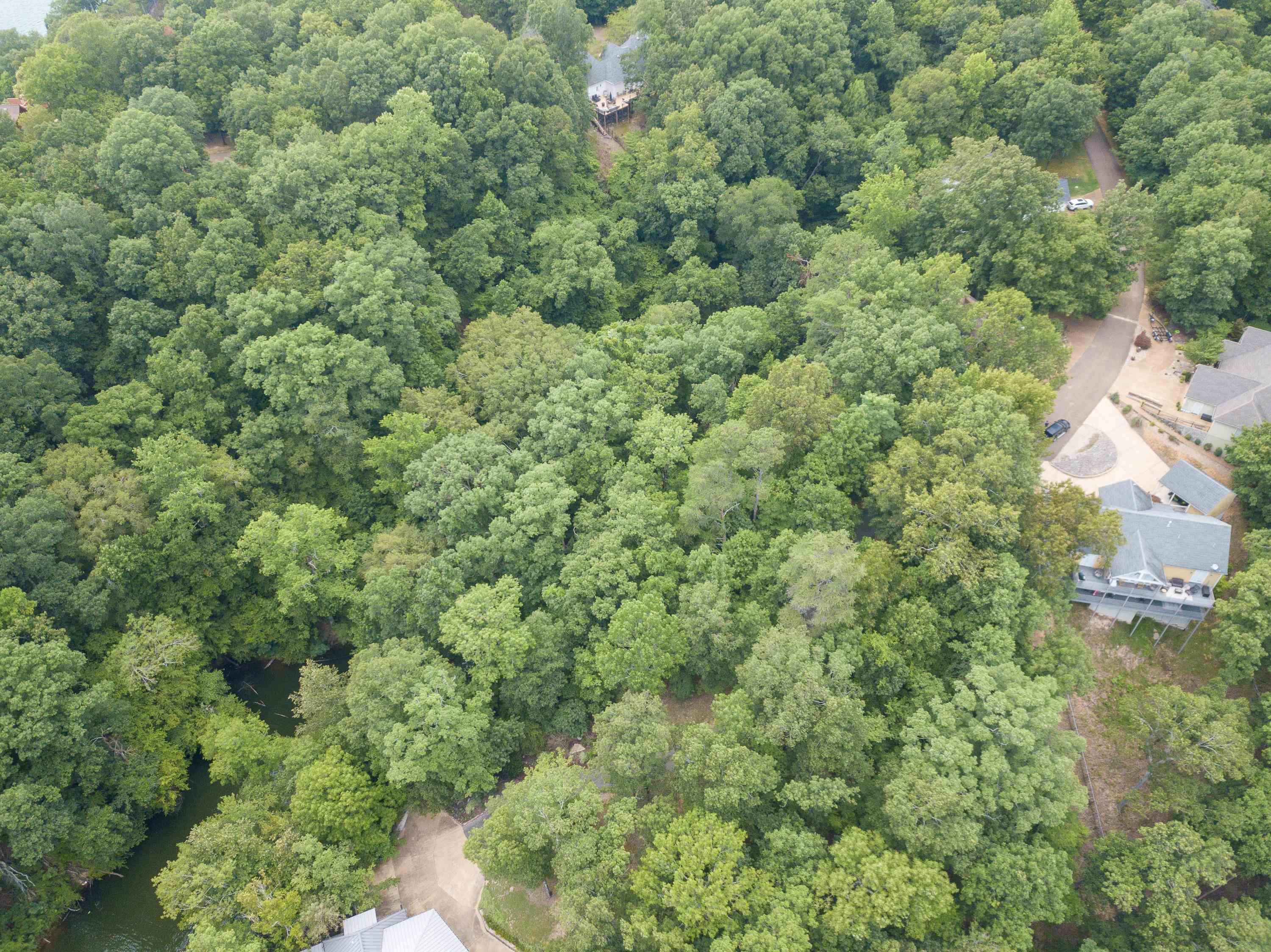 Lake Bluff Path Avenue Savannah, TN 38372 - Photo 14 of 33 an aerial view of residential house with outdoor space and trees all around