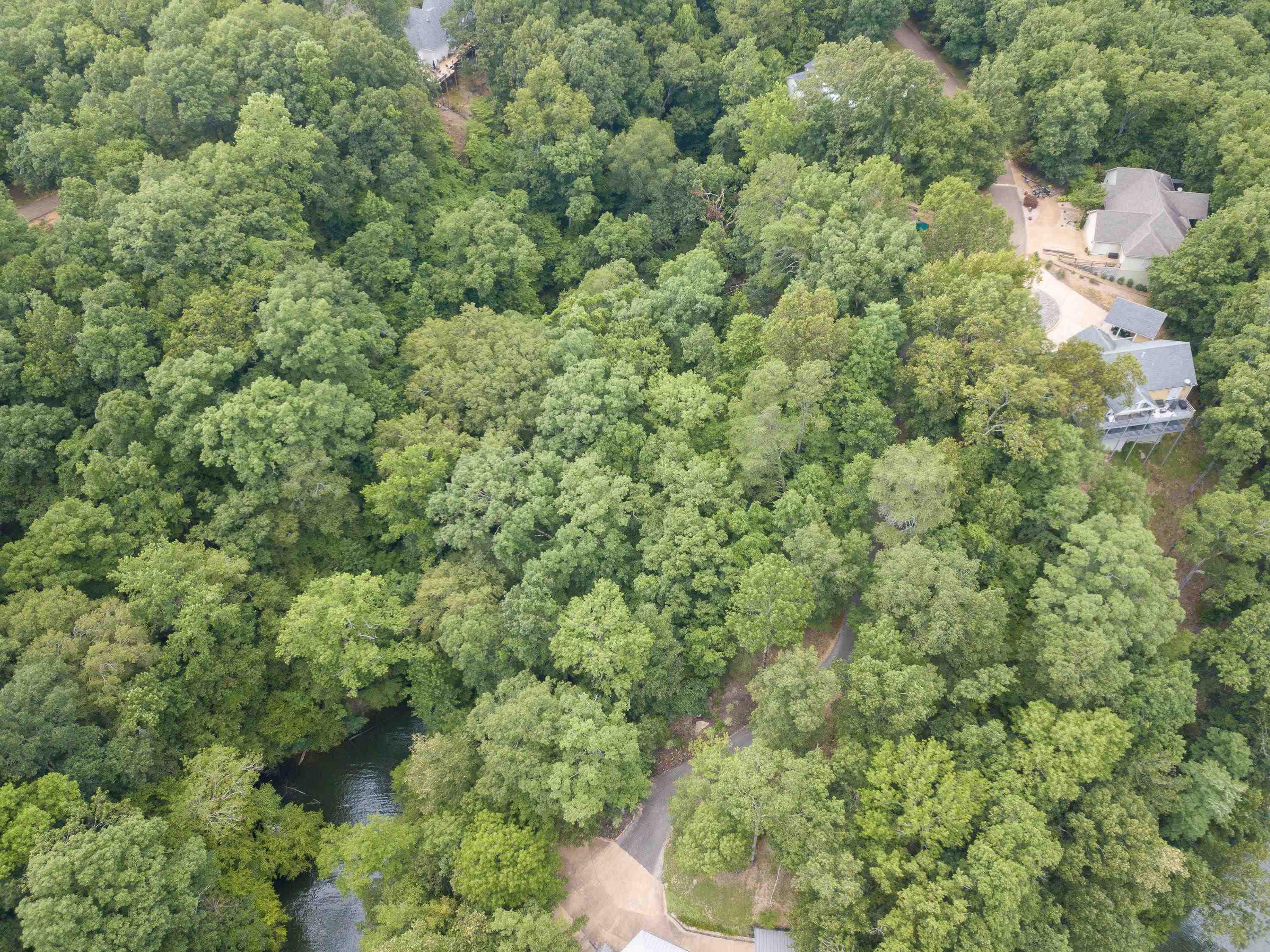Lake Bluff Path Avenue Savannah, TN 38372 - Photo 15 of 33 a view of a forest with houses