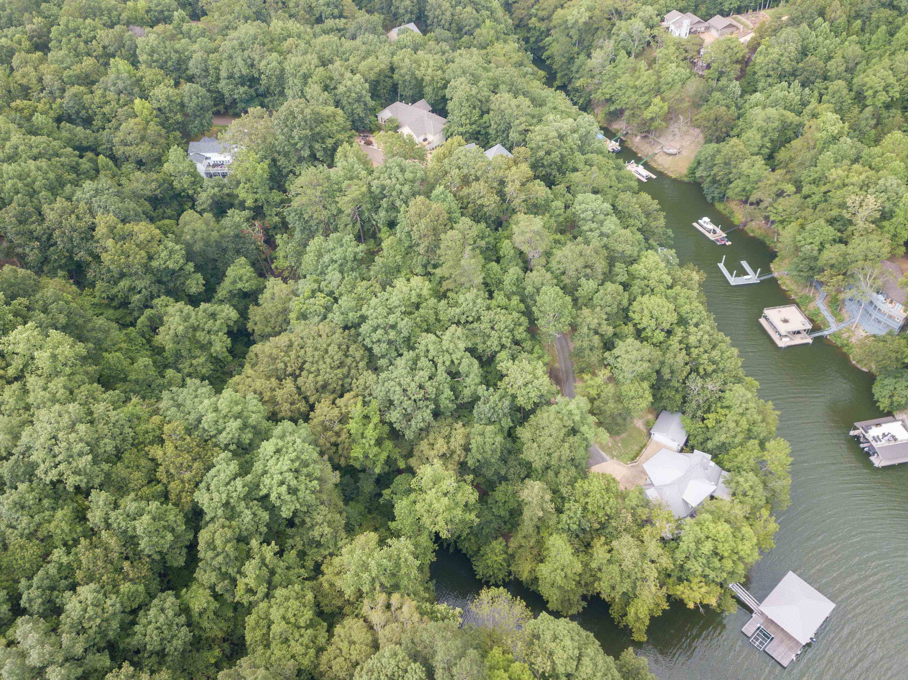 Lake Bluff Path Avenue Savannah, TN 38372 - Photo 18 of 33 a close up of a plant in a garden