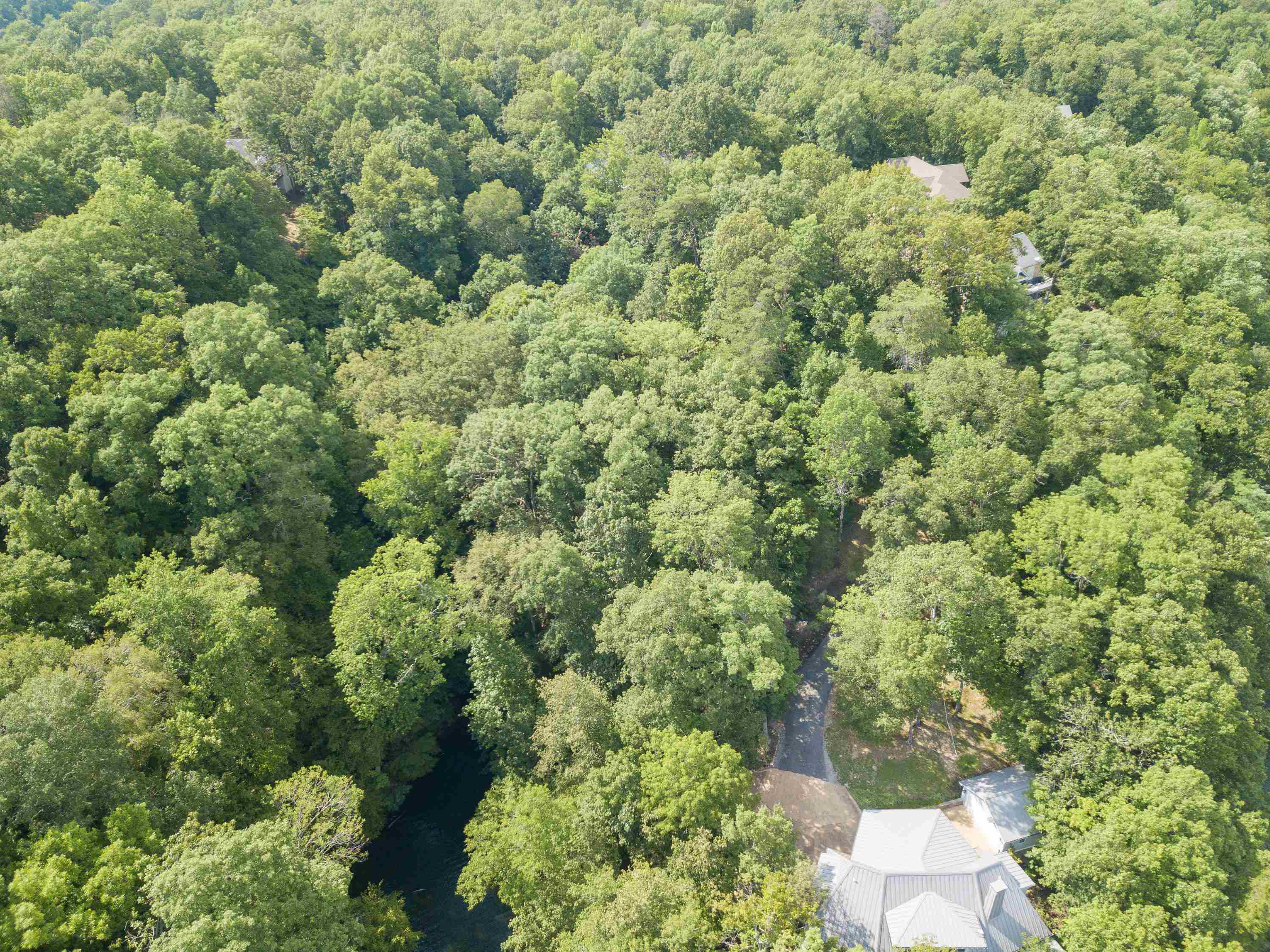 Lake Bluff Path Avenue Savannah, TN 38372 - Photo 22 of 33 an aerial view of a house with yard