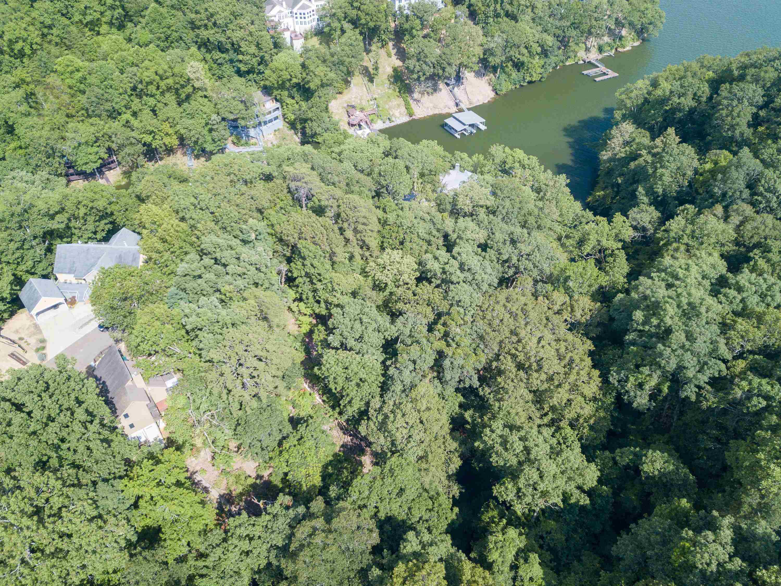 Lake Bluff Path Avenue Savannah, TN 38372 - Photo 27 of 33 an aerial view of residential house with outdoor space and trees all around