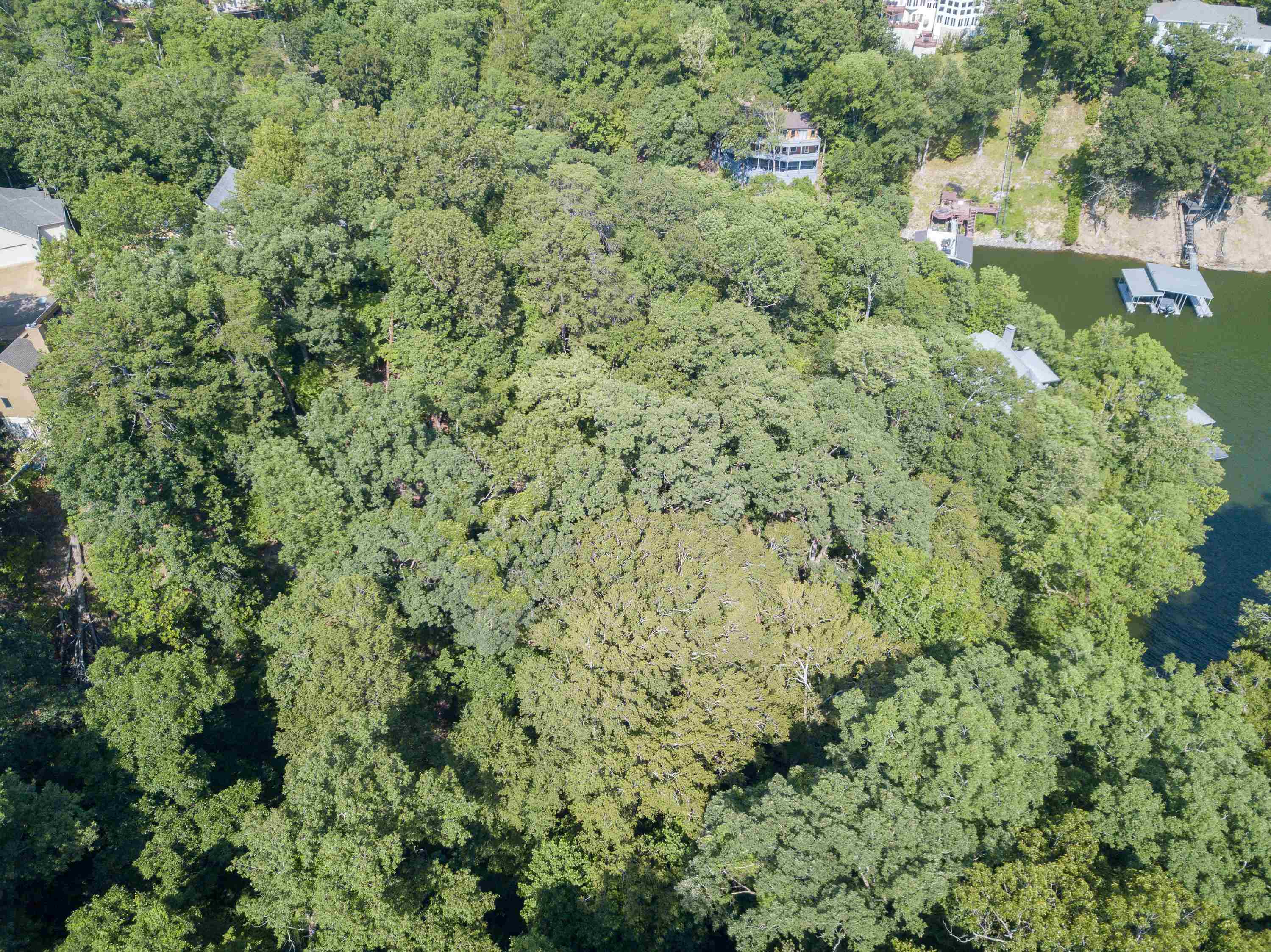 Lake Bluff Path Avenue Savannah, TN 38372 - Photo 28 of 33 a view of a forest with a building in the background