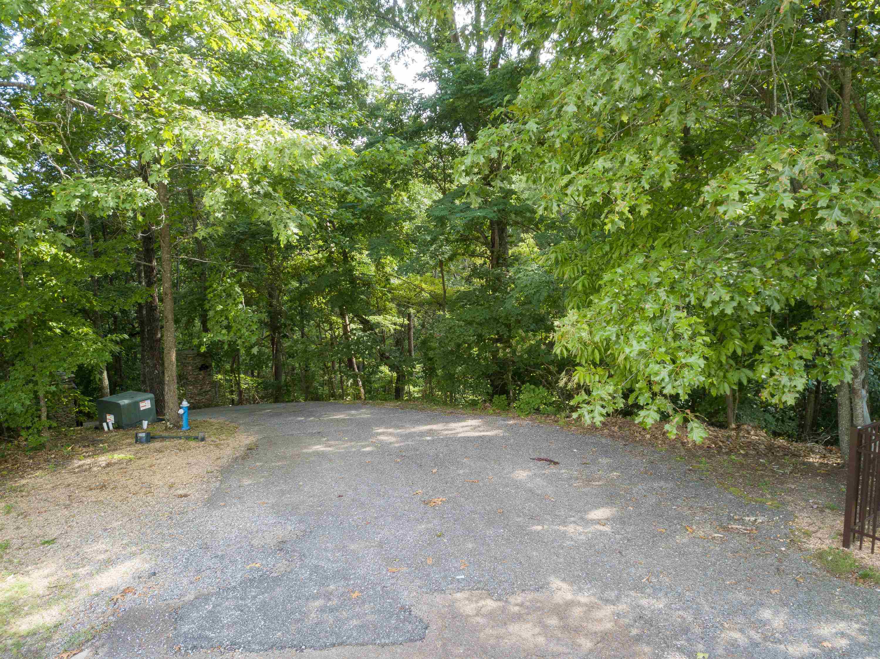 Lake Bluff Path Avenue Savannah, TN 38372 - Photo 30 of 33 a view of a forest with trees in the background