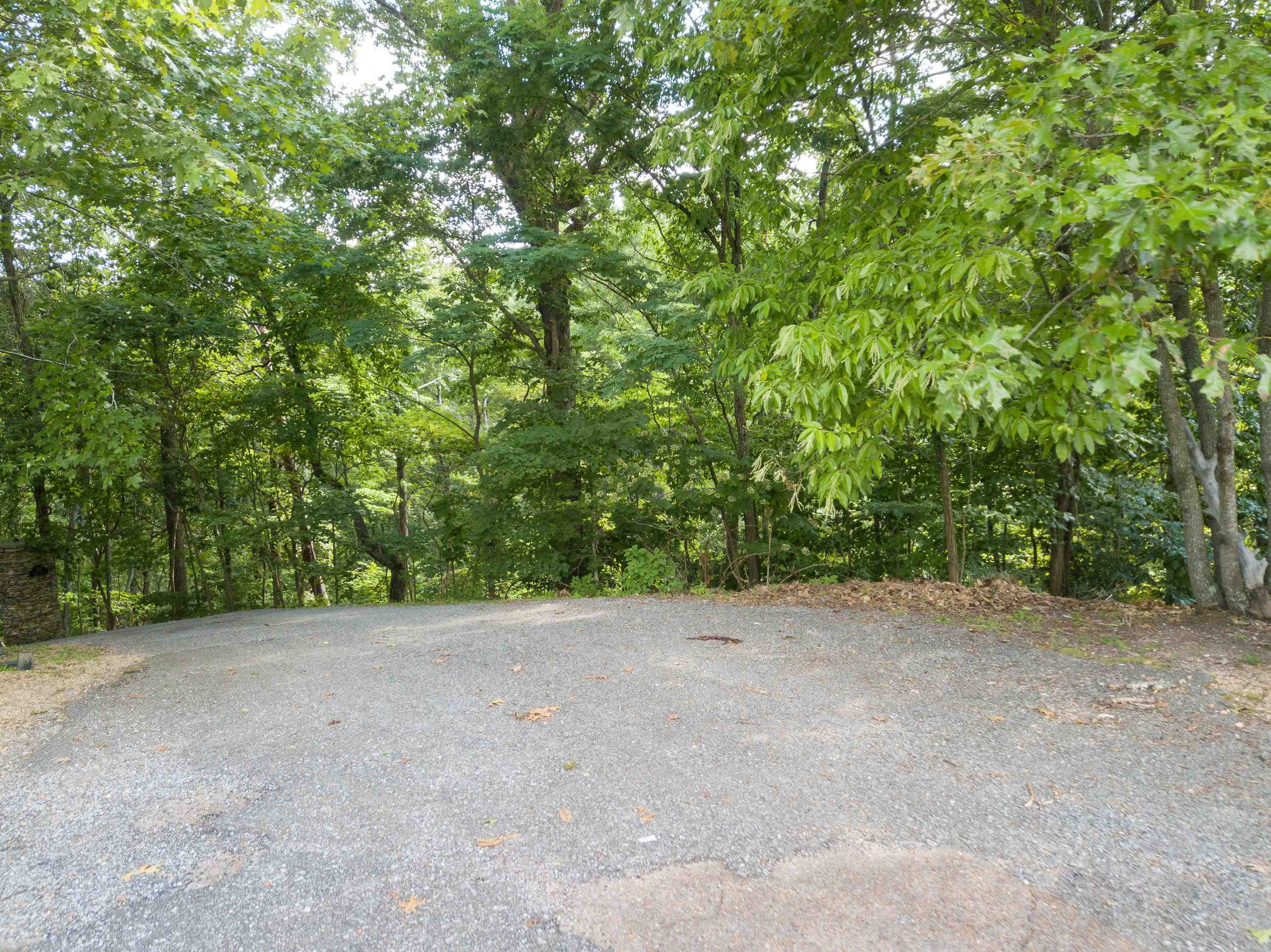 Lake Bluff Path Avenue Savannah, TN 38372 - Photo 31 of 33 a view of an empty room with a tree