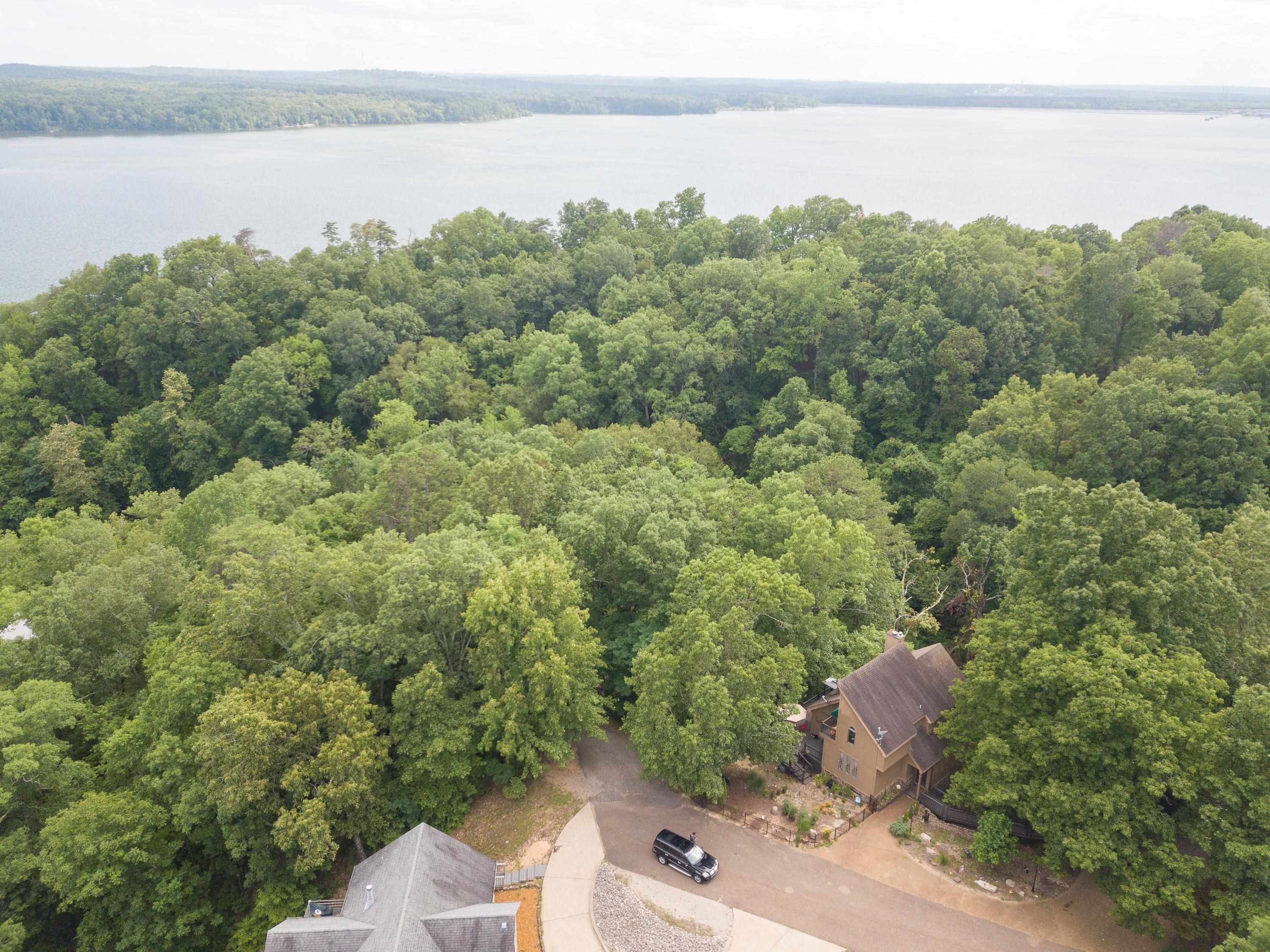 Lake Bluff Path Avenue Savannah, TN 38372 - Photo 5 of 33 a view of a lake with a mountain in the background