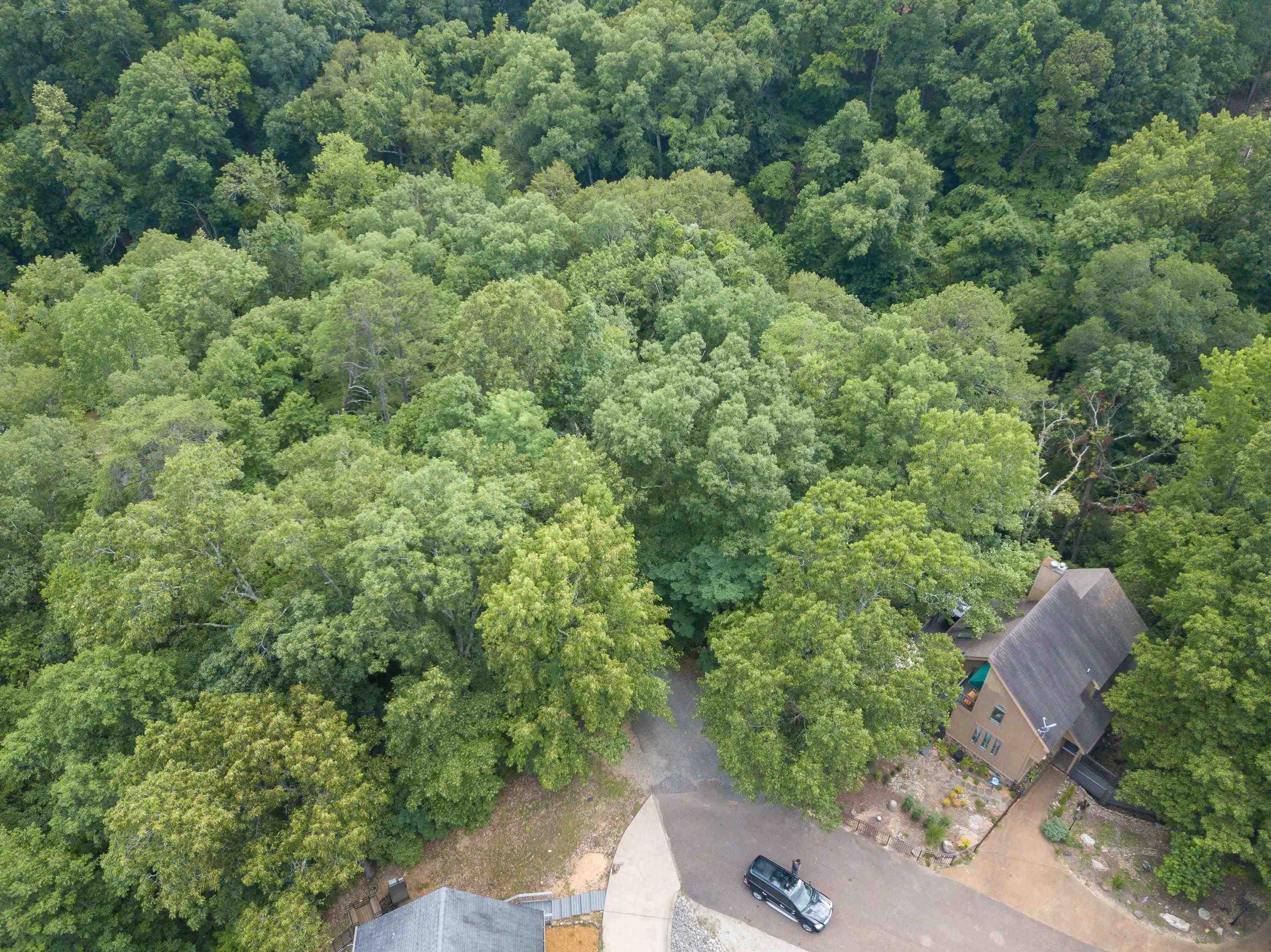 Lake Bluff Path Avenue Savannah, TN 38372 - Photo 6 of 33 an aerial view of a house with a yard
