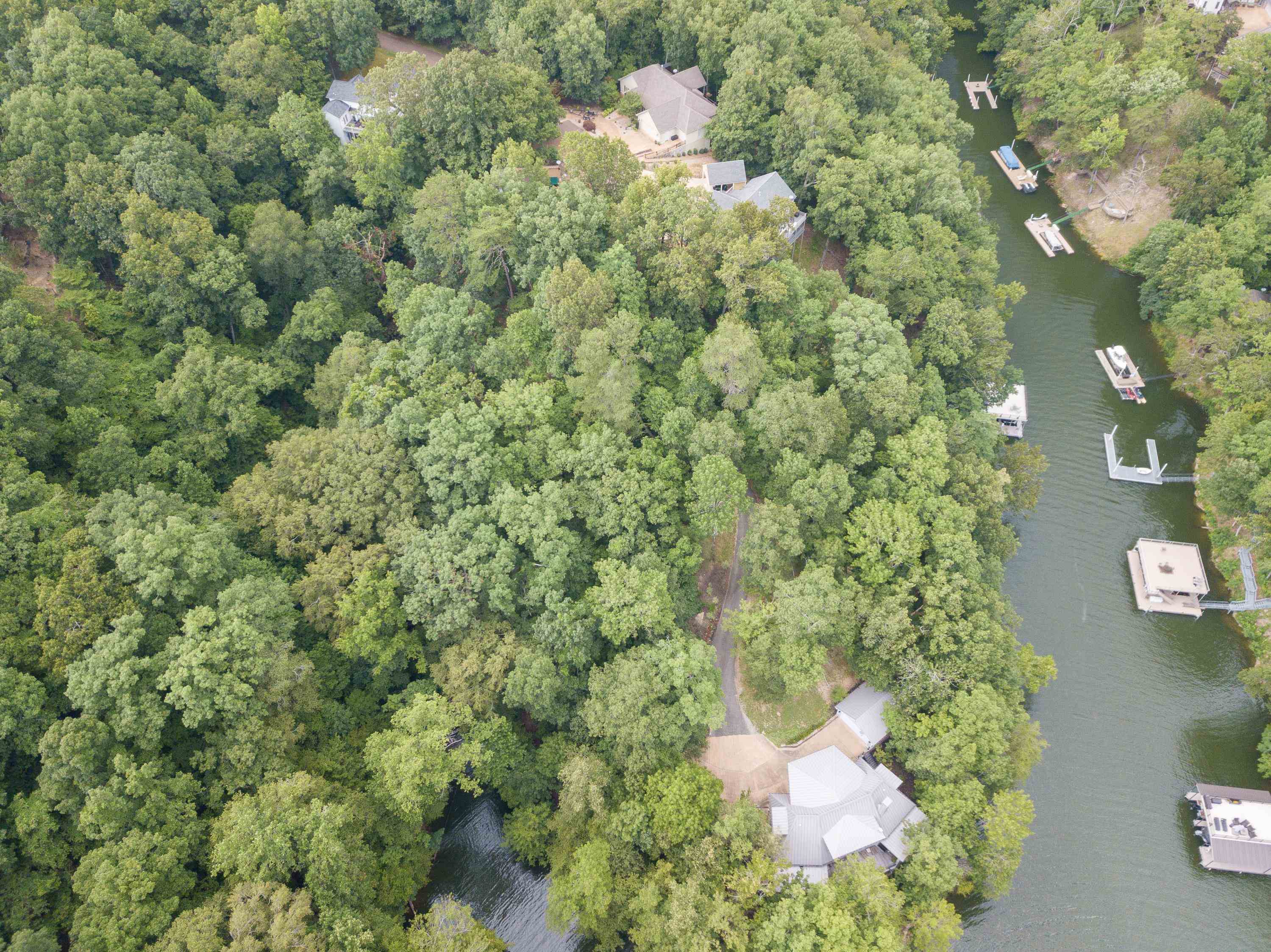 Lake Bluff Path Avenue Savannah, TN 38372 - Photo 8 of 33 a close up of a plant in a garden