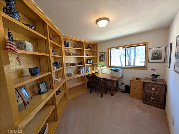 a view of a tree next to a tree