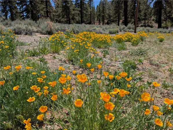 $995,000 | 1575 Petersen Lane, Frazier Park, CA 93225