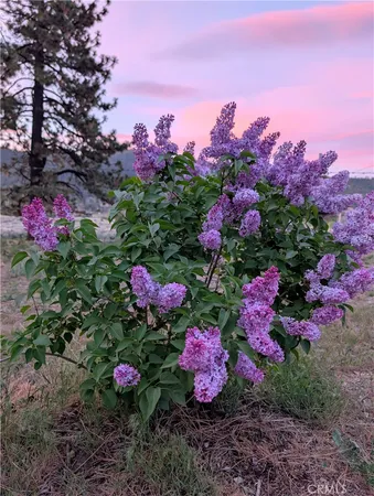 $995,000 | 1575 Petersen Lane, Frazier Park, CA 93225