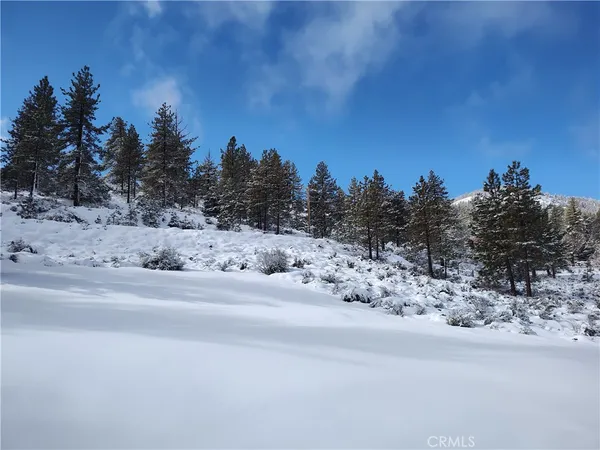 $995,000 | 1575 Petersen Lane, Frazier Park, CA 93225