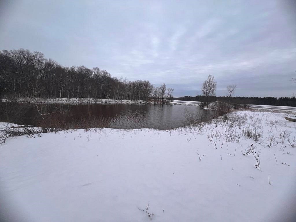 County Line Road Babcock, WI 54413 - Photo 1 of 1