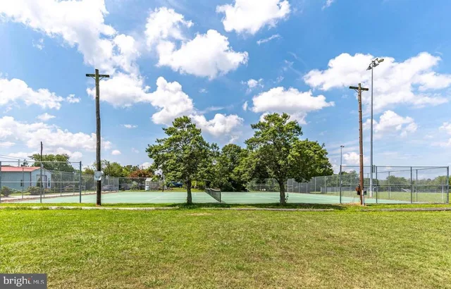 a view of a big yard