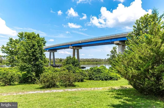a view of a house with a big yard and potted plants