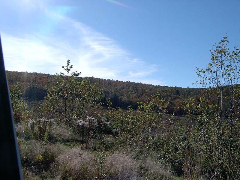 Lot 8 Lyle Hall Road Wilton, ME 04294 - Photo 8 of 9 Photo