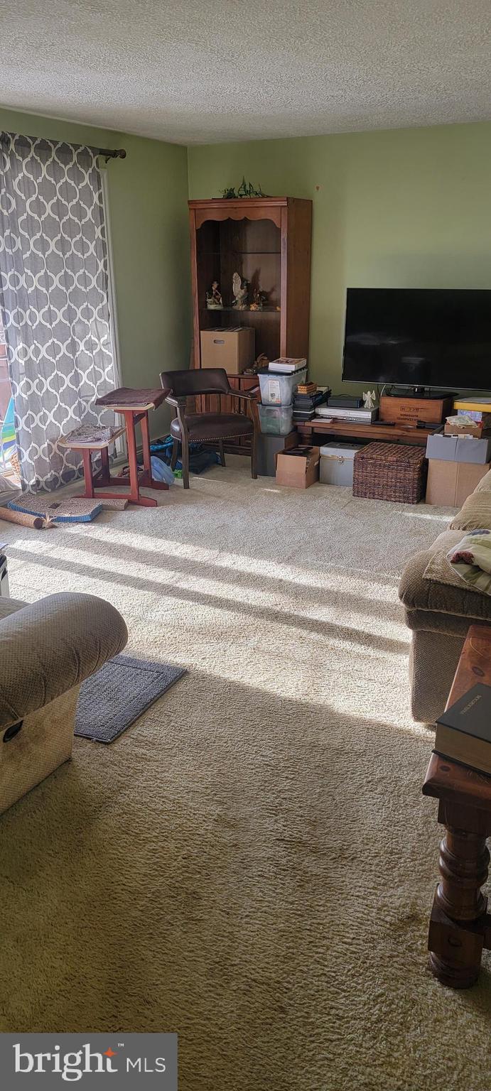 6202 Pahagaco Road Spring Grove, PA 17362 - Photo 3 of 9