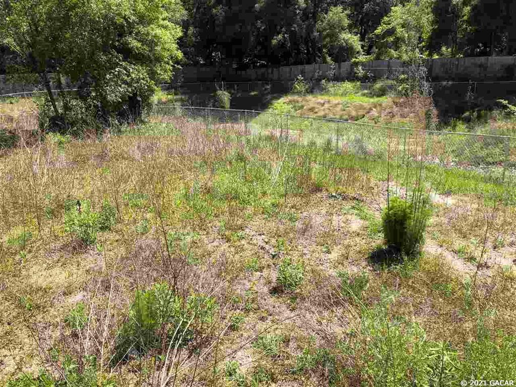 13327 West Newberry Road Newberry, FL 32669 - Photo 2 of 7