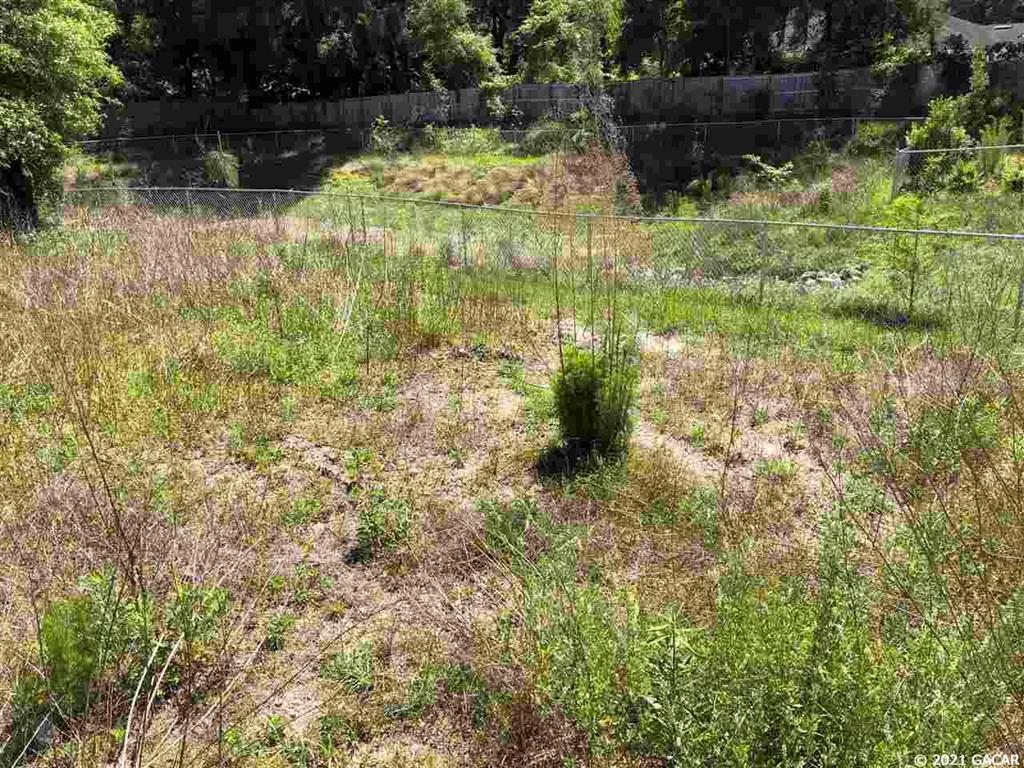 13327 West Newberry Road Newberry, FL 32669 - Photo 6 of 7