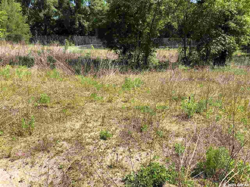 13327 West Newberry Road Newberry, FL 32669 - Photo 7 of 7