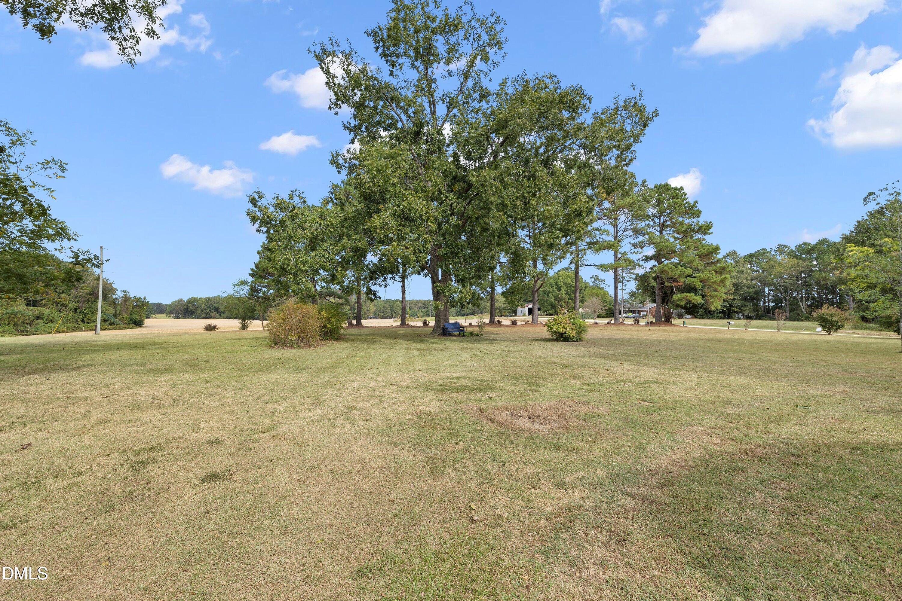 89 Bailey-Boykin Road Selma, NC 27576 - Photo 40 of 48 a view of outdoor space with green field and trees