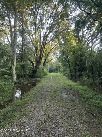 $115,000 | Tbd Bienville Road, Ville Platte, LA 70586