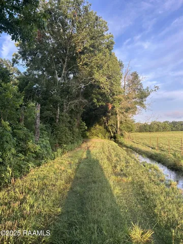 $115,000 | Tbd Bienville Road, Ville Platte, LA 70586