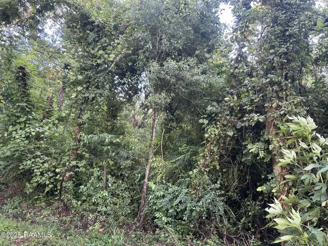 $115,000 | Tbd Bienville Road, Ville Platte, LA 70586