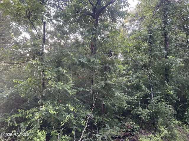 $115,000 | Tbd Bienville Road, Ville Platte, LA 70586