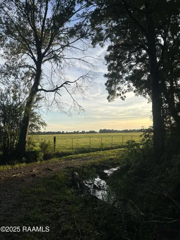 $115,000 | Tbd Bienville Road, Ville Platte, LA 70586