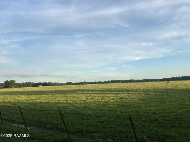 $115,000 | Tbd Bienville Road, Ville Platte, LA 70586