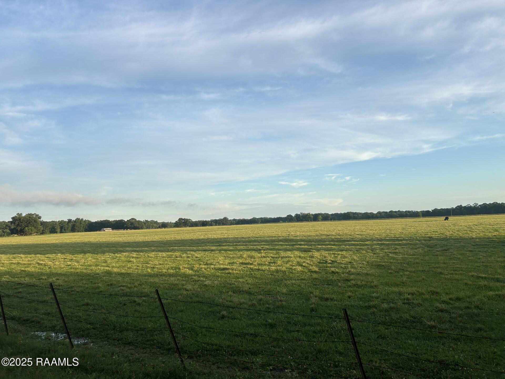 Tbd Bienville Road Ville Platte, LA 70586 - Photo 16 of 16 thumbnail_IMG_9540