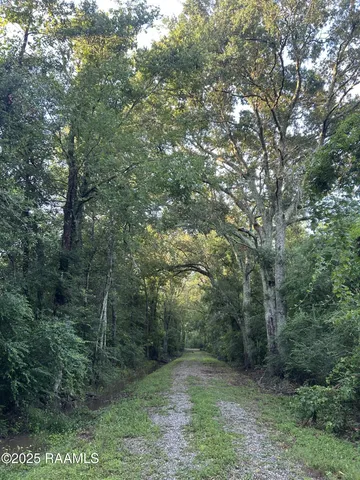 $115,000 | Tbd Bienville Road, Ville Platte, LA 70586