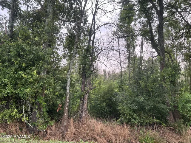 $115,000 | Tbd Bienville Road, Ville Platte, LA 70586