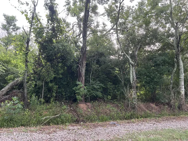$115,000 | Tbd Bienville Road, Ville Platte, LA 70586