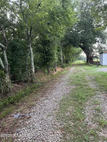$115,000 | Tbd Bienville Road, Ville Platte, LA 70586